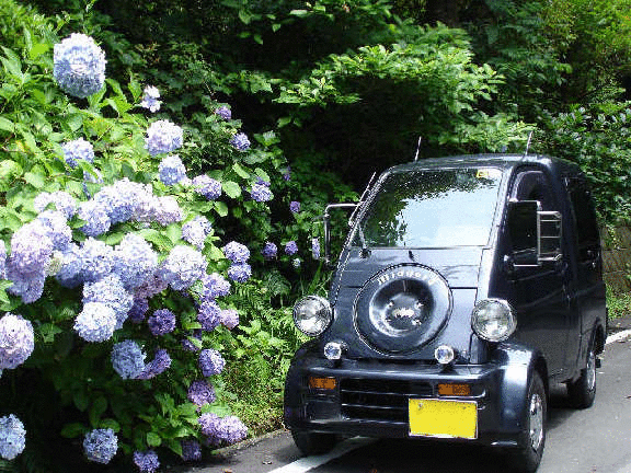 �~�[�b�g�ʐ^��